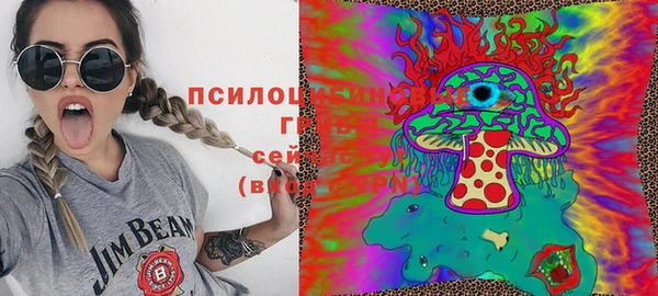 мяу мяу мука Алексин